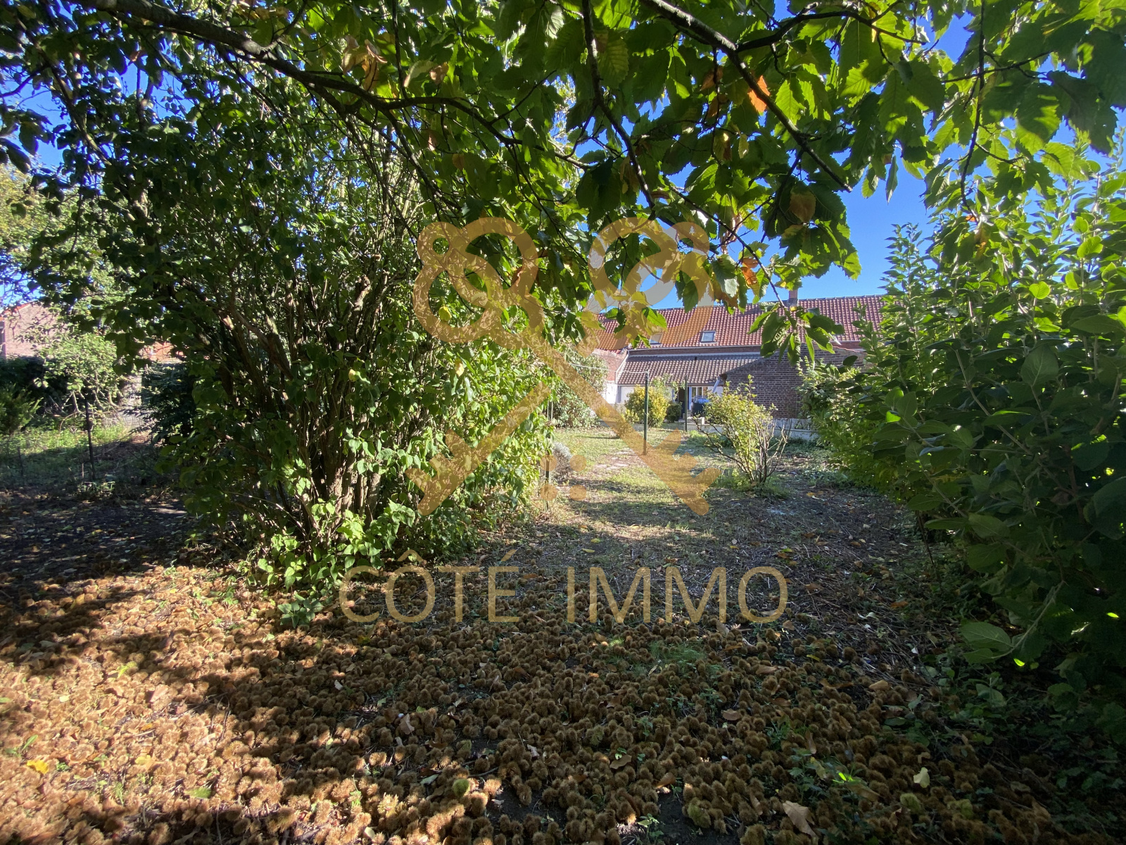 Image_, Maison, Leforest, ref :70